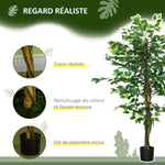 Plante artificielle ficus hauteur 1,50 m tronc branches liane lichen feuilles grand réalisme pot inclus vert