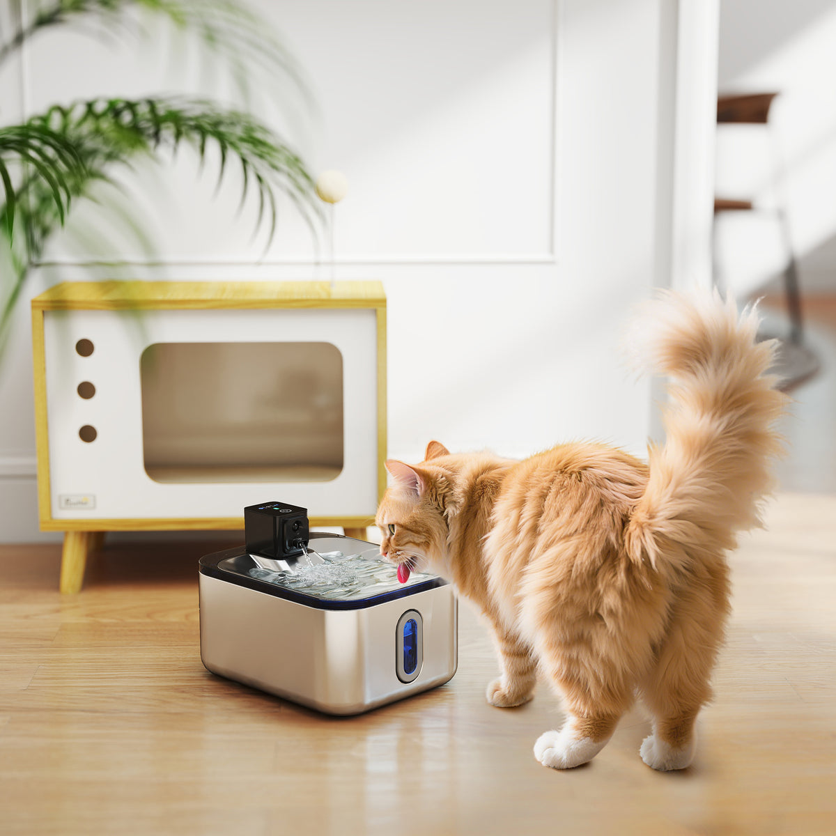 Fontaine à eau pour chat automatique en inox 5L, silencieuse, distributeur eau chat 3-étapes filtre chargeur USB, argent