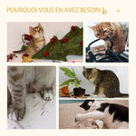 Arbre à chat griffoir pour chat arbre à grimper niche maison pour chat plate-forme supérieure balle suspendue hauteur 81 cm
