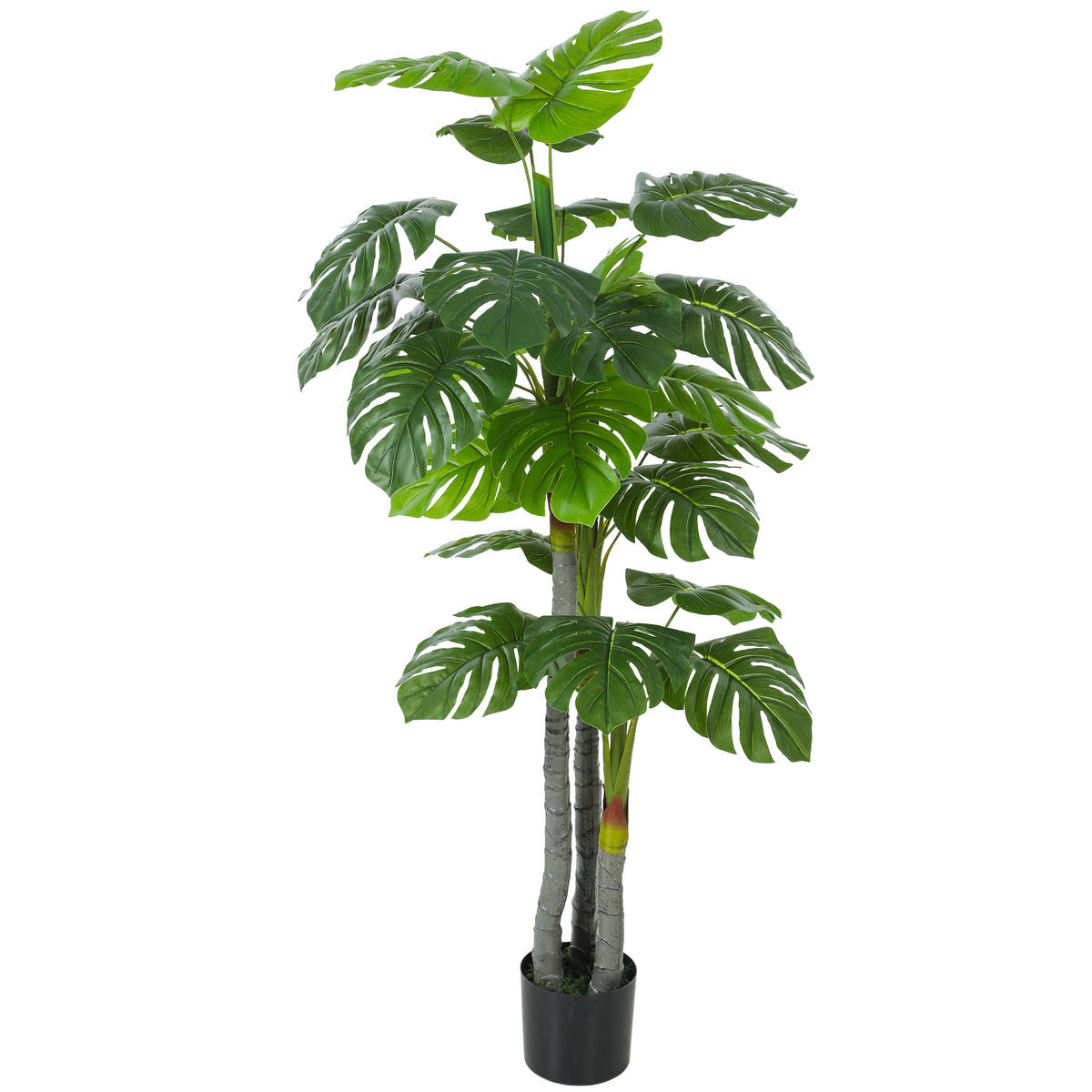 Árbol artificial Planta artificial Monstera Alt. 1,5 m Tronco Ramas Líquen Hojas de costilla de Adán Gran realismo Maceta incluida