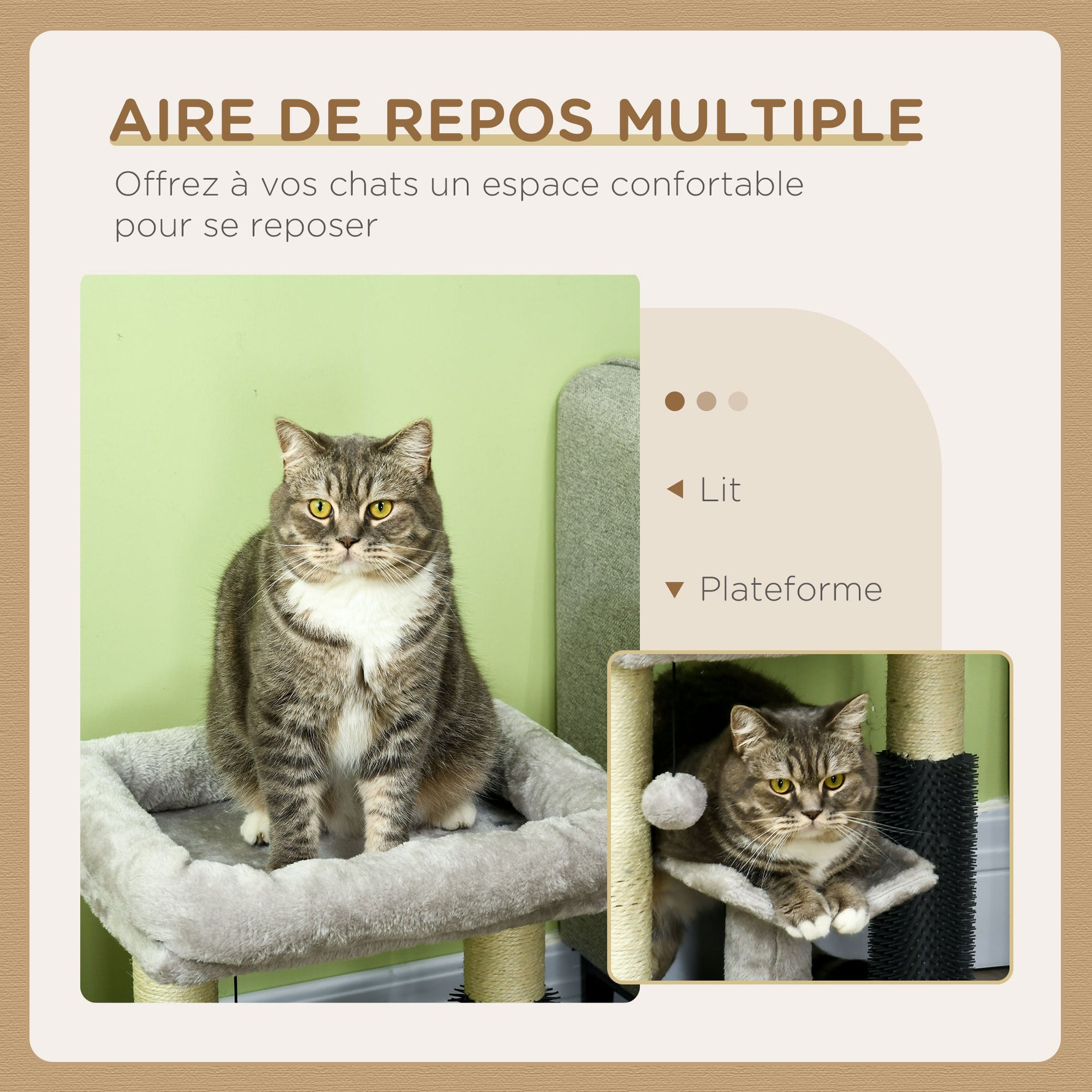 Petit arbre à chat arbre à grimper tour de jeux hauteur 48 cm poteau en sisal gris avec balle suspendue gris