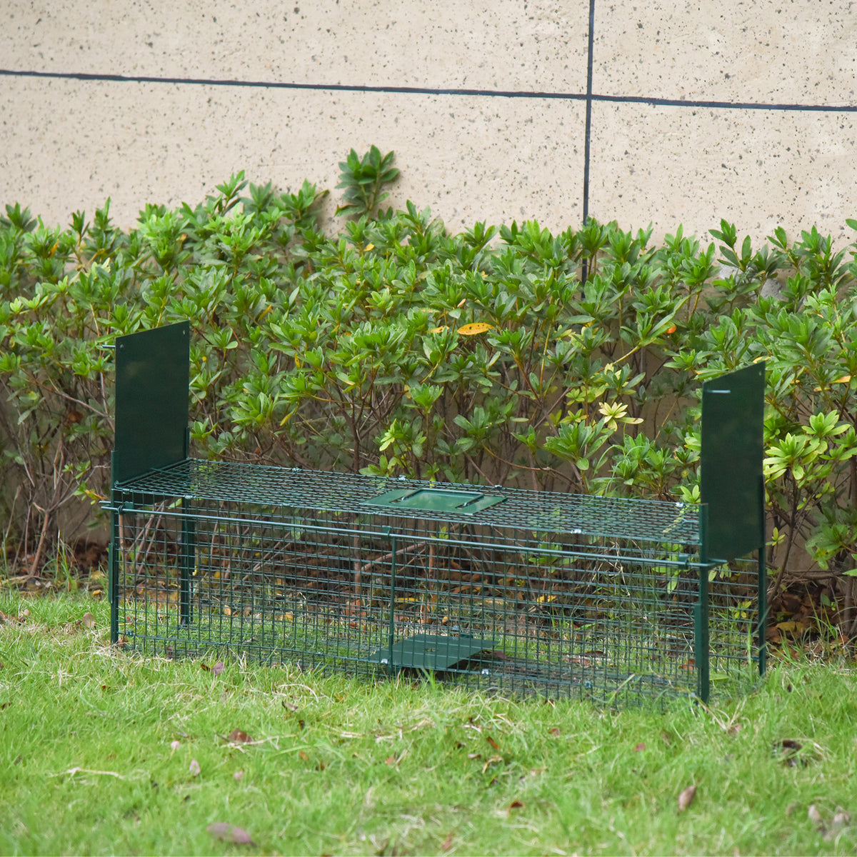 Piège Vivant Cage Attrape 100 x 25 x 28 cm Piège Fouine pour Martres, Rats, Souris - 2 entrées + poignée - métal vert