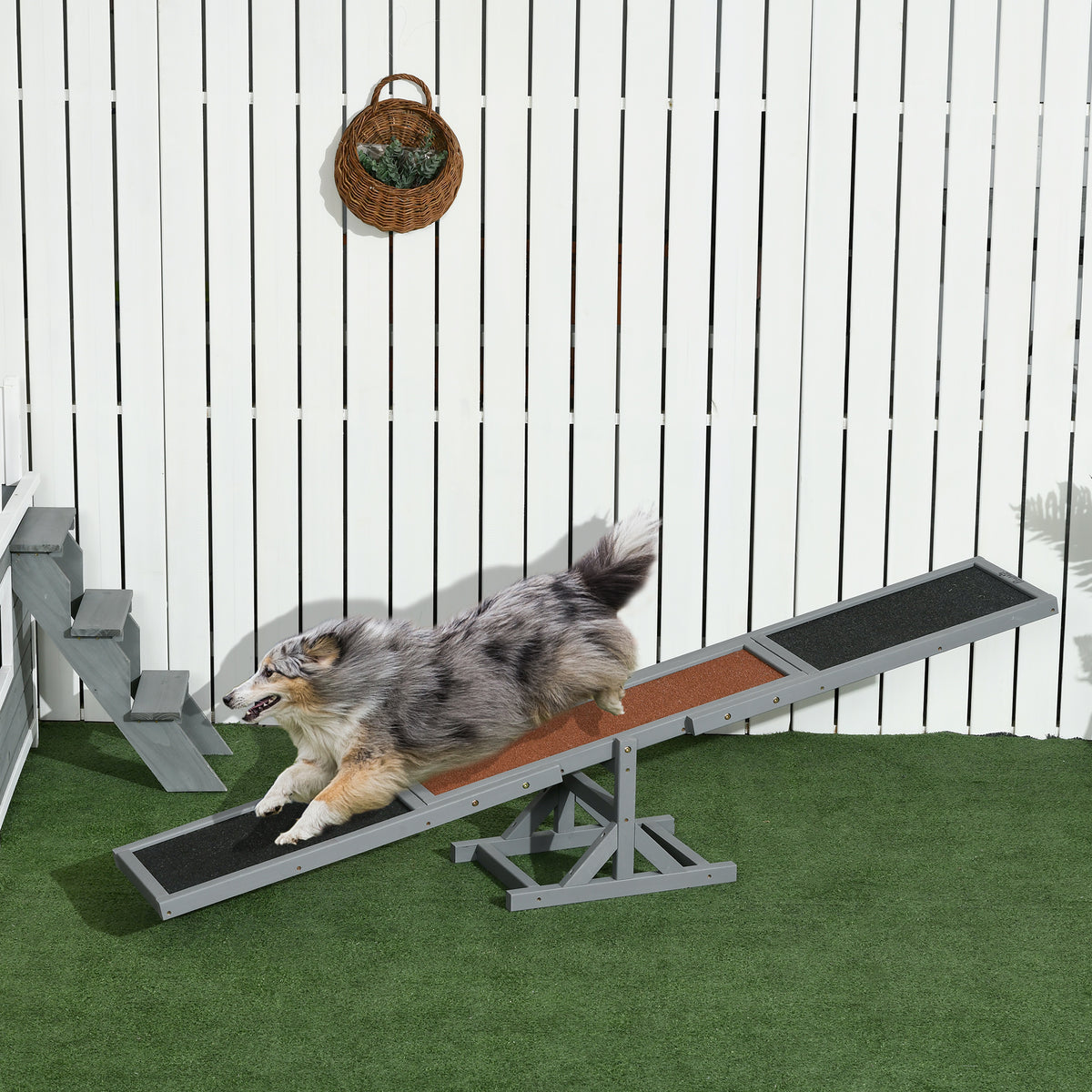 Agility sport pour chien bascule équipement entrainement chien bois sapin pré-huilé feutre bitumé antidérapant gris noir