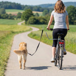 Laisse de Vélo pour Chien 180 cm en Inox , Fixation Rapide, Ressort Amortisseur, Sangle Ajustable, Argent