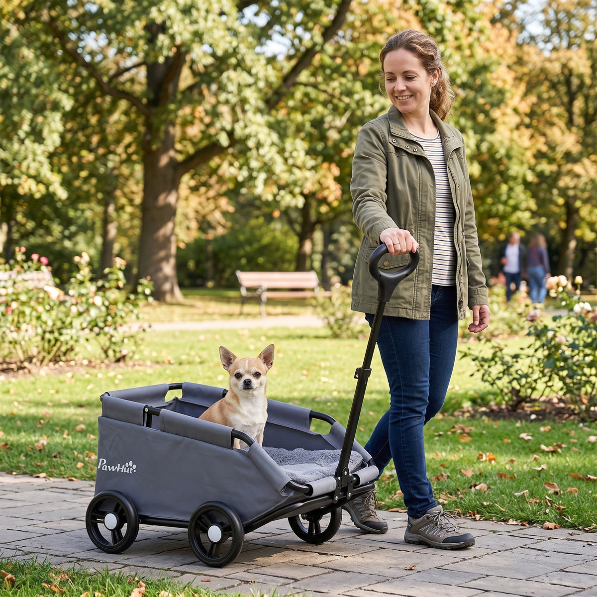 Poussette pour chien poussette petit chien pliable à 4 roues avec tige de poussée réglable 53 x 45 x 28 cm gris