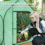 Mini serre pop-up petite serre légumes plante fleurs avec porte à fermeture éclair en PE 150 x 148 x 148 cm vert