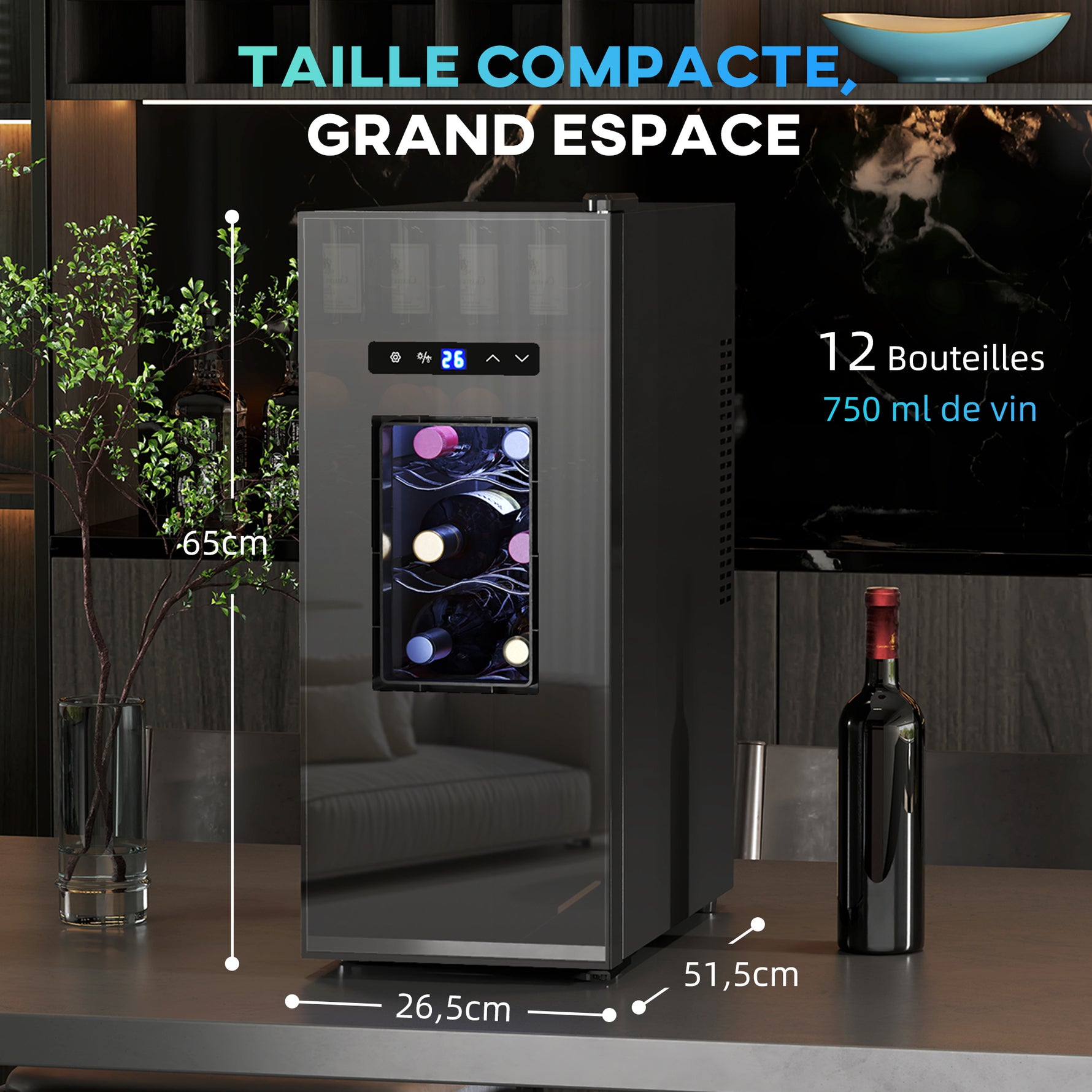 Cave à vin 12 bouteille 30L thermoélectrique double et silencieux avec porte en verre, LED, écran numérique, noir
