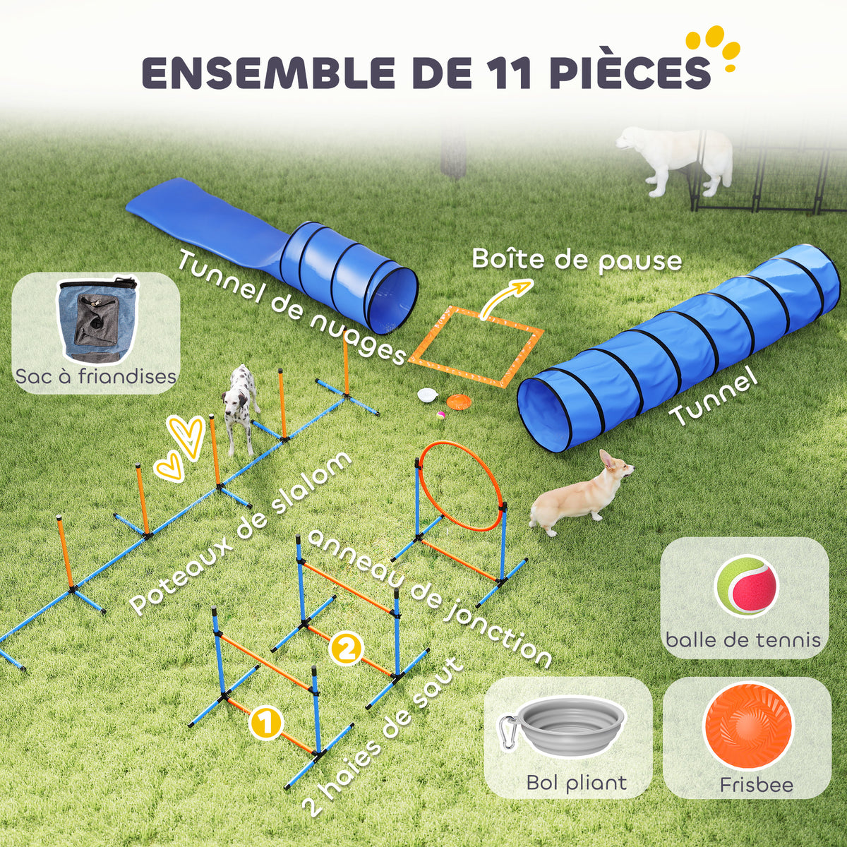 Ensemble d'Agilité pour Chien 11 Pièces, Parcours d'Obstacle avec 2 Tunnels, Sauts Ajustables, Orange et Bleu