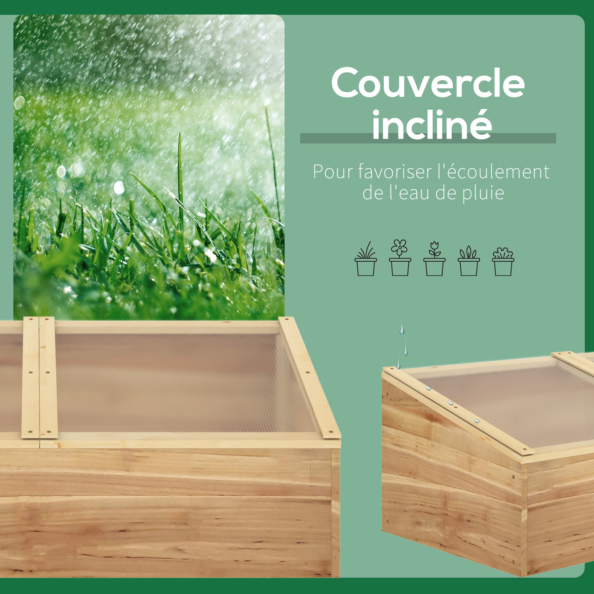 Texte alternatif de l'image