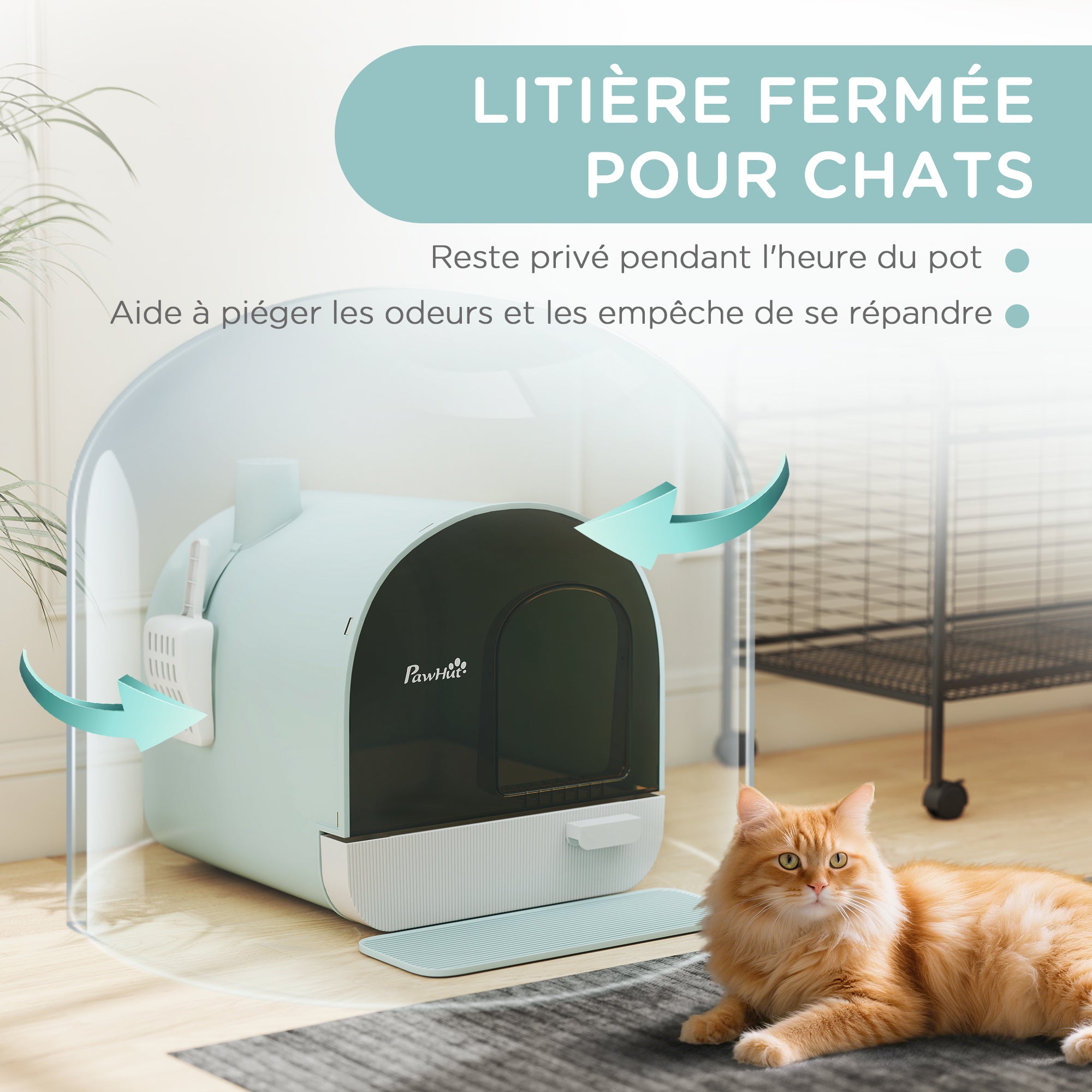 Texte alternatif de l'image