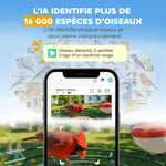 Mangeoire à Oiseaux avec Caméra 2K Solaire 2,5L 142°, Identification IA 16000+, App, IP65, SD 32 Go, 30x34,5x26,3cm Vert