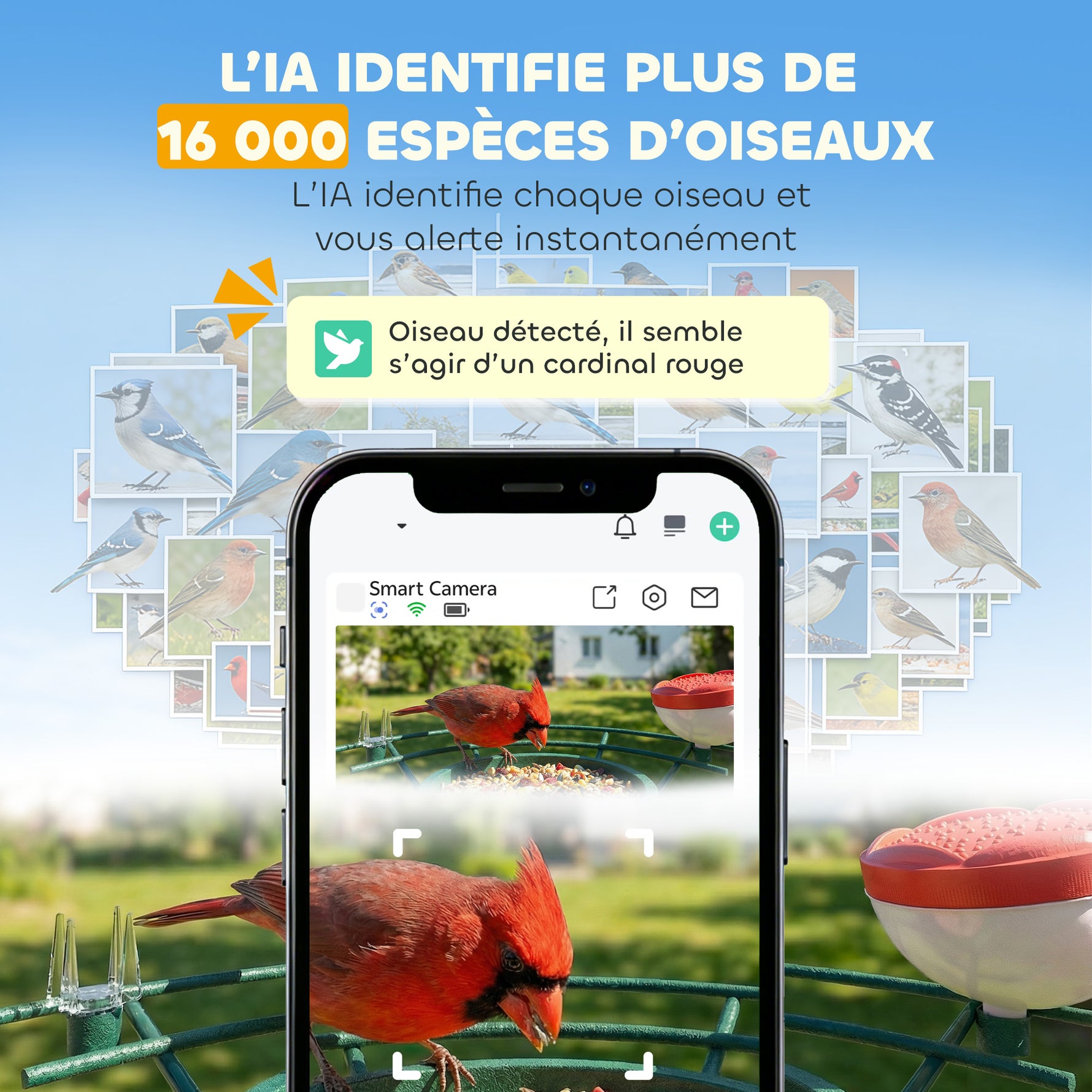 Mangeoire à Oiseaux avec Caméra 2K Solaire 2,5L 142°, Identification IA 16000+, App, IP65, SD 32 Go, 30x34,5x26,3cm Vert
