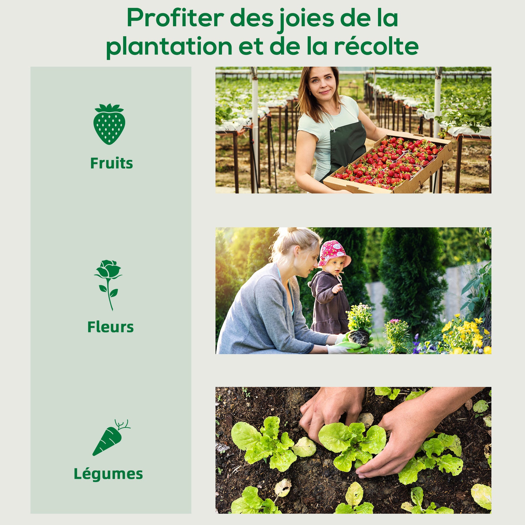 Serre de Jardin Anti-UV 2 fenêtres moustiquaires + Barres renforcement 200L x 77l x 169H cm Acier PE Vert