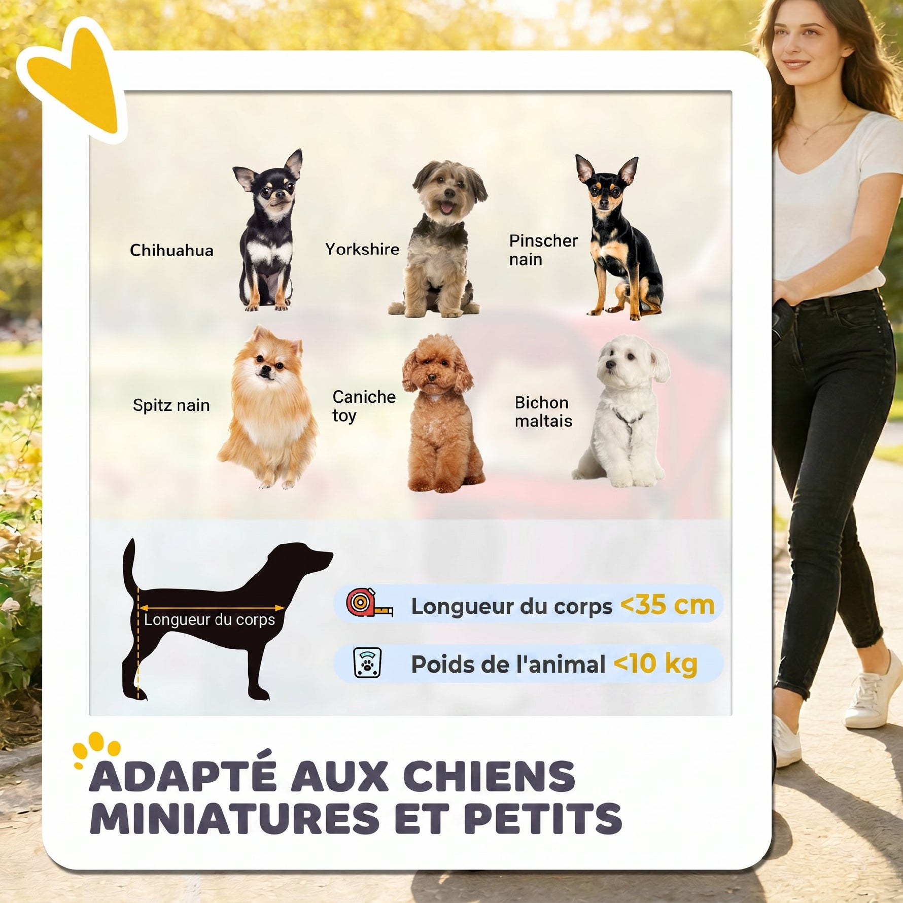 Poussette pour Chien 4 Roues, Chariot Pliable avec Auvent Réglable, Panier de Rangement, 77x44x102cm, Rouge