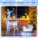 Renne et traîneau lumineux de Noël avec 170 LED blanc chaud, décoration de Noël pour intérieur et extérieur, 60x29x115cm