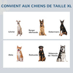 Gamelles chiens surélevées gamelle double chien chat Porte-gamelles surélevé dim. 60L x 30l x 41H cm 2 gamelles 2L poignées coffre bois gris