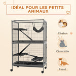 Cage pour rongeurs Multifonction 4 Plateformes 3 rampes 4 Portes dim. 80L x 52l x 128H cm acier Gris argenté Noir