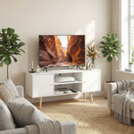 Meuble TV style scandinave 2 portes 2 niches passe-fils piètement bois pin panneaux blanc - 120 x 34 x 50 cm blanc