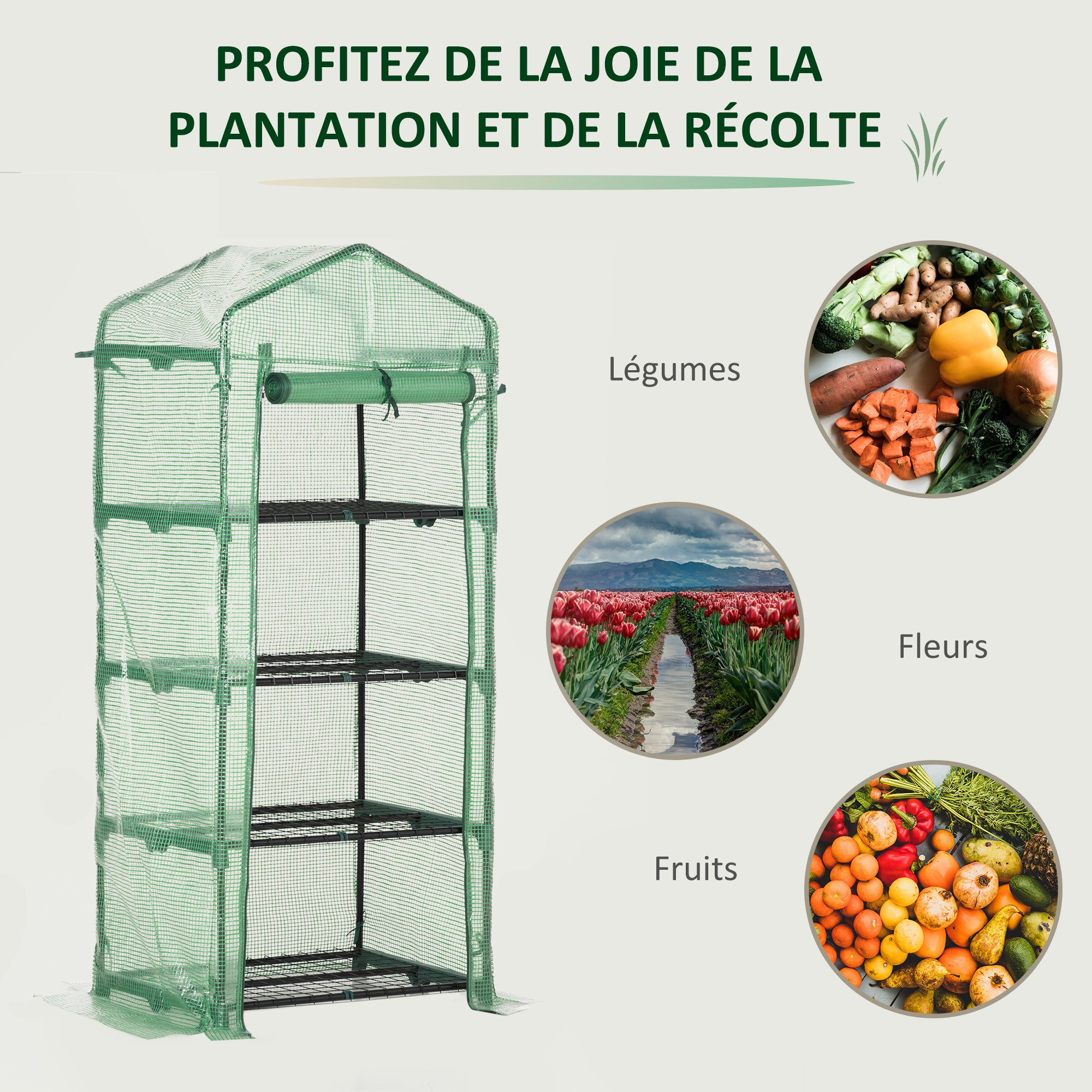 Texte alternatif de l'image