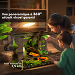 Boîte à reptiles, boîte d'élevage de reptiles, fermeture sécurisée par rotation, ventilation frontale, 50x30x35cm, noir