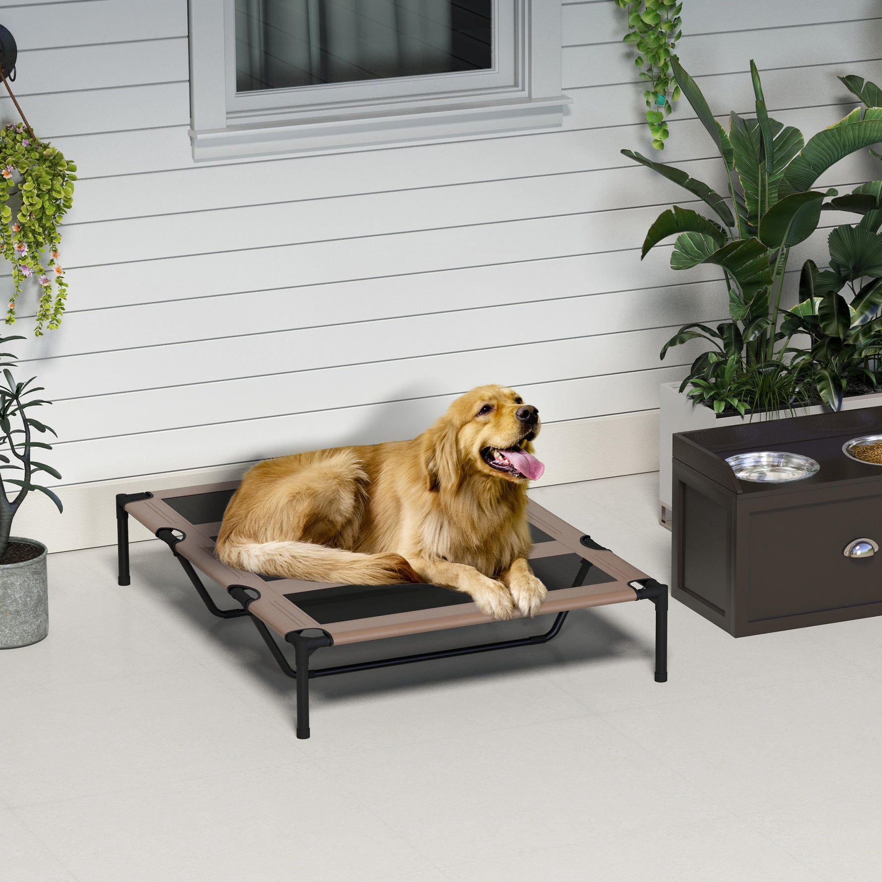 Lot de 2 Lits sur pieds XXL pour chien chat lit de camp animal 122L x 92l x 23H cm marron clair