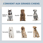 Gamelles chiens surélevées gamelle double chien chat porte-gamelles 60 x 30 x 35,5 cm 2 gamelles 2L acier inox incluses