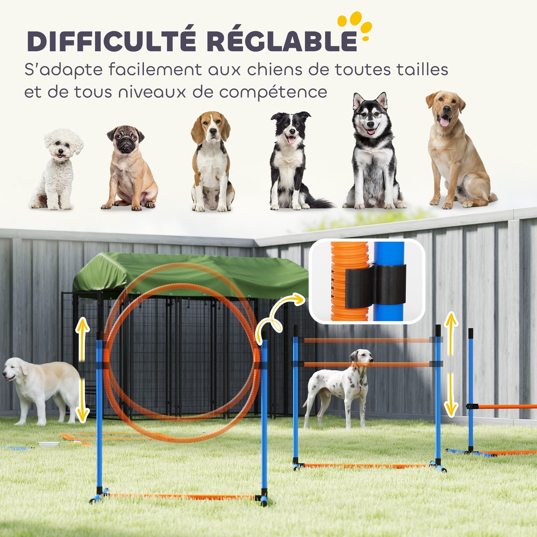 Ensemble d'Agilité pour Chien 11 Pièces, Parcours d'Obstacle avec 2 Tunnels, Sauts Ajustables, Orange et Bleu