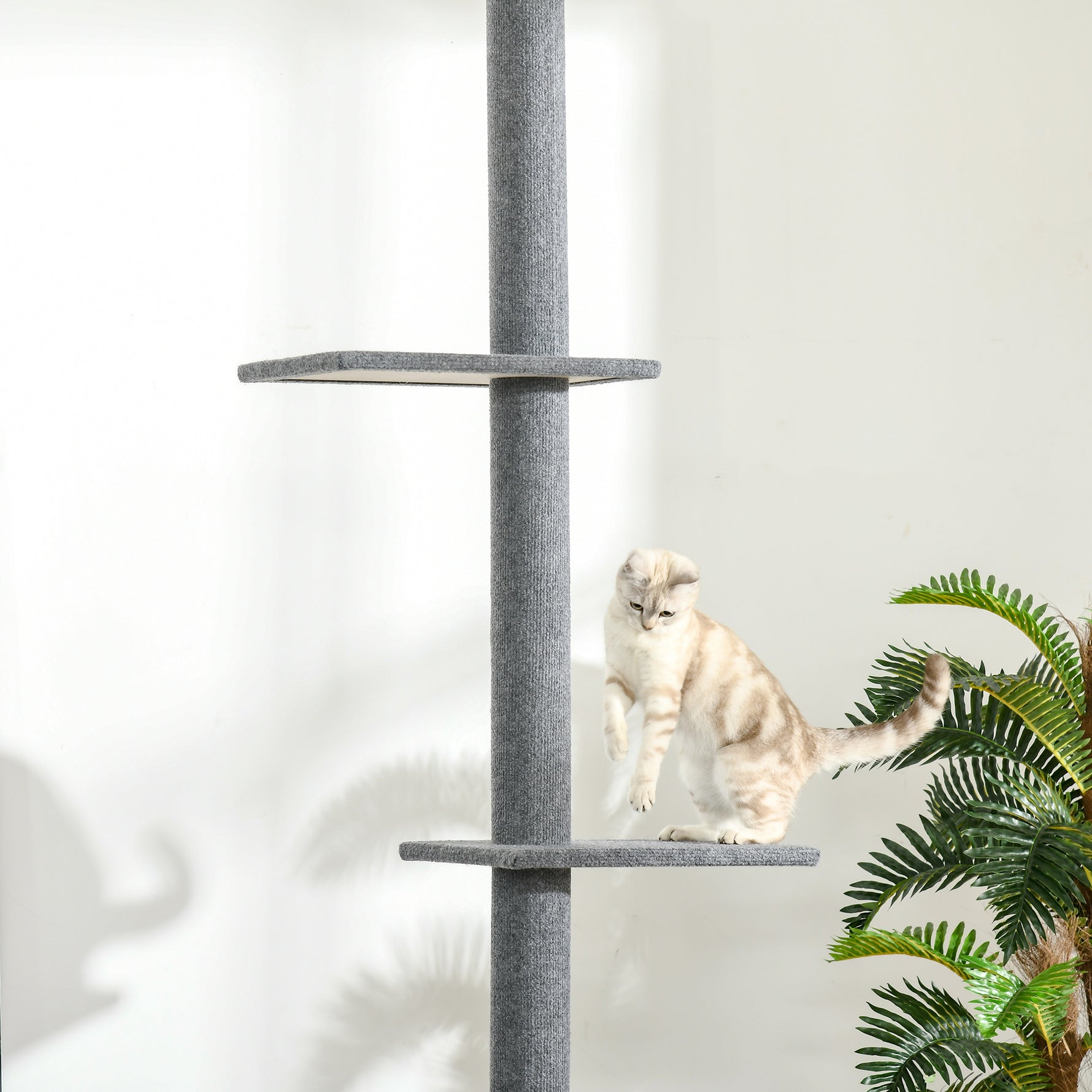 Arbre à chat du sol au plafond poteau à griffer hauteur réglable dim. 43L x 27I x 228-260H cm 4 niveaux d'activités gris