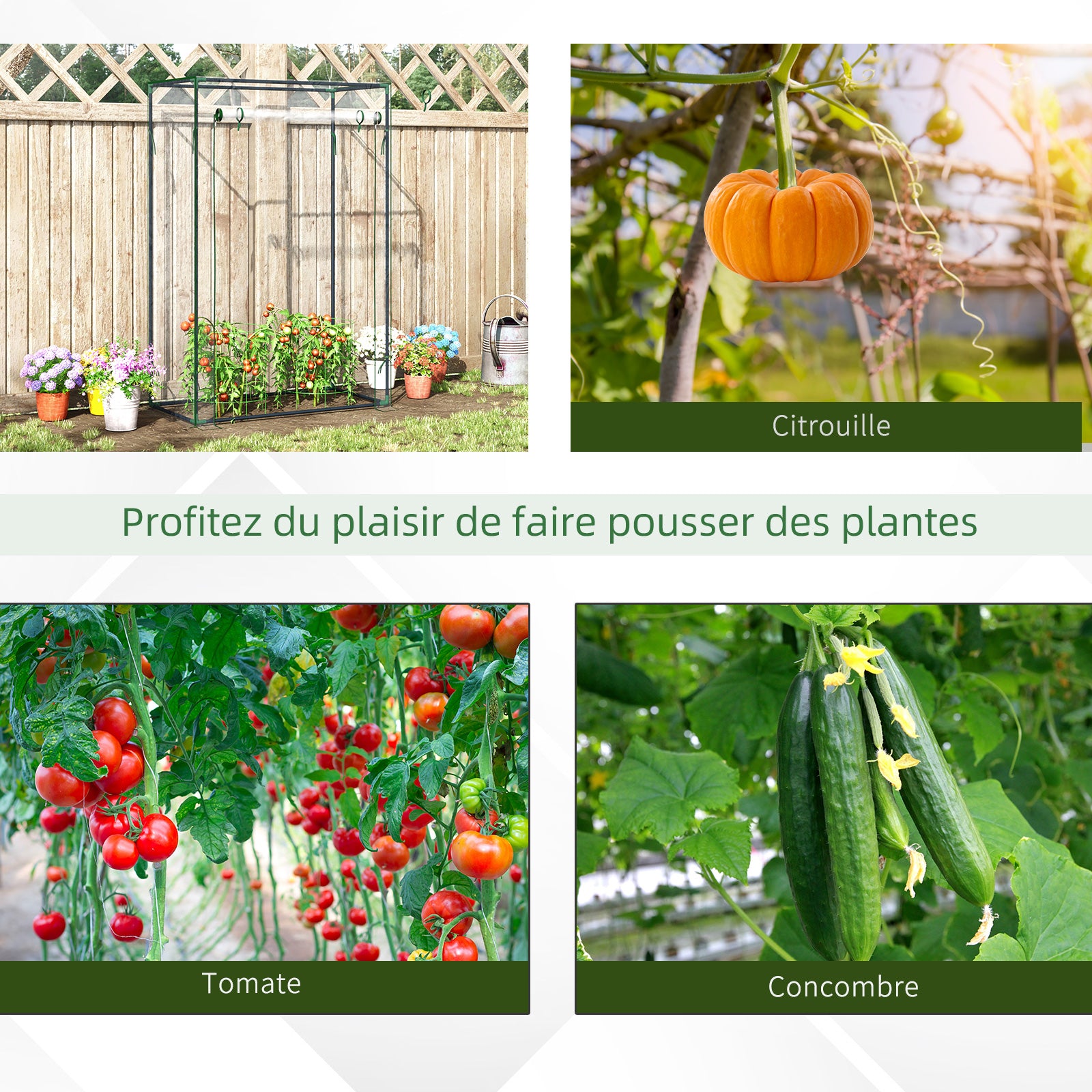 Serre de jardin, serre de balcon, bâche renforcée PVC, châssis en acier, porte zippée enroulable, pour légumes plantes fleurs en toutes saisons intérieur et extérieur, 100 x 50 x 150 cm blanc