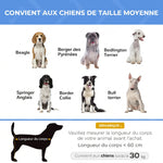 Lit surélevé pour chien lit surélevé rafraîchissant pour chien tissu Oxford sac de transport inclus 92 x 76 x 18 cm bleu