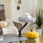 Kantoorbed voor katten, 360° draaibaar en in hoogte verstelbaar, wasbaar kattenbed met speelbal, 35x35x48 cm, grijs