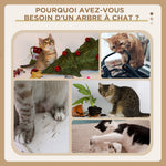 Arbre à chat XXL arbre à grimper pour chat multi-équipements griffoirs 6 plate-formes 2 niches hauteur 200 cm gris
