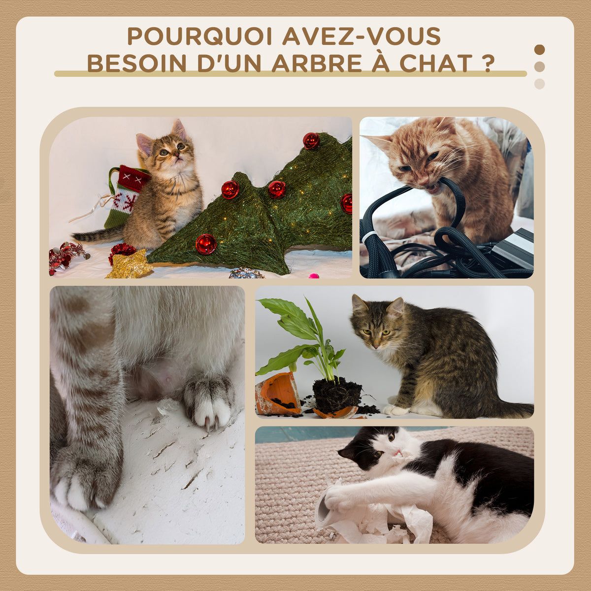 Arbre à chat XXL arbre à grimper pour chat multi-équipements griffoirs 6 plate-formes 2 niches hauteur 200 cm gris