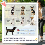 Poussette pour chien animaux de compagnie pliable 4 roues EVA guidon réglable panier 76,5 x 52 x 95 cm