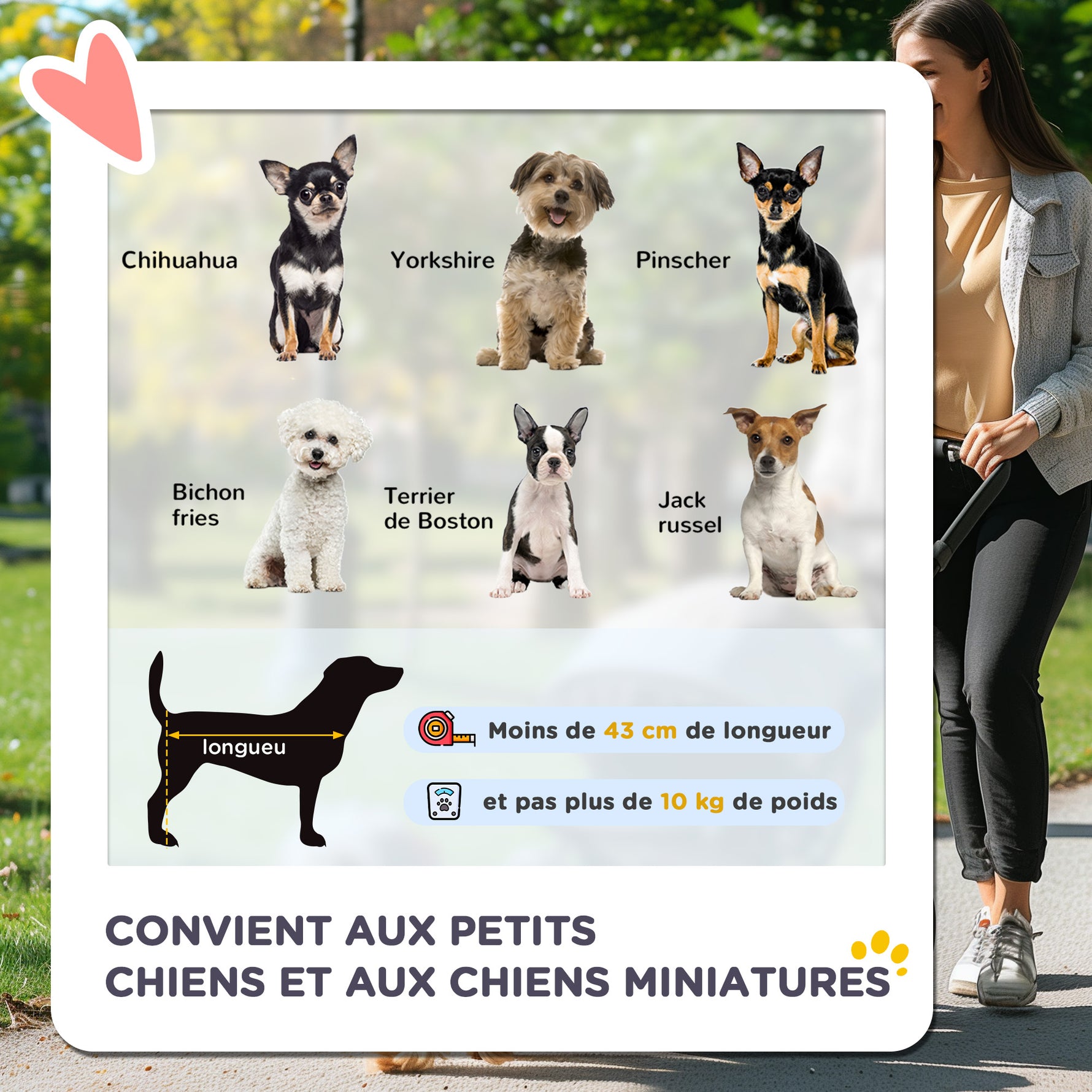 Poussette pour chien animaux de compagnie pliable 4 roues EVA guidon réglable panier 76,5 x 52 x 95 cm