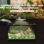 Boîte à reptiles boîte d'élevage de reptiles habitat de terrarium transparent couvercle coulissant noir