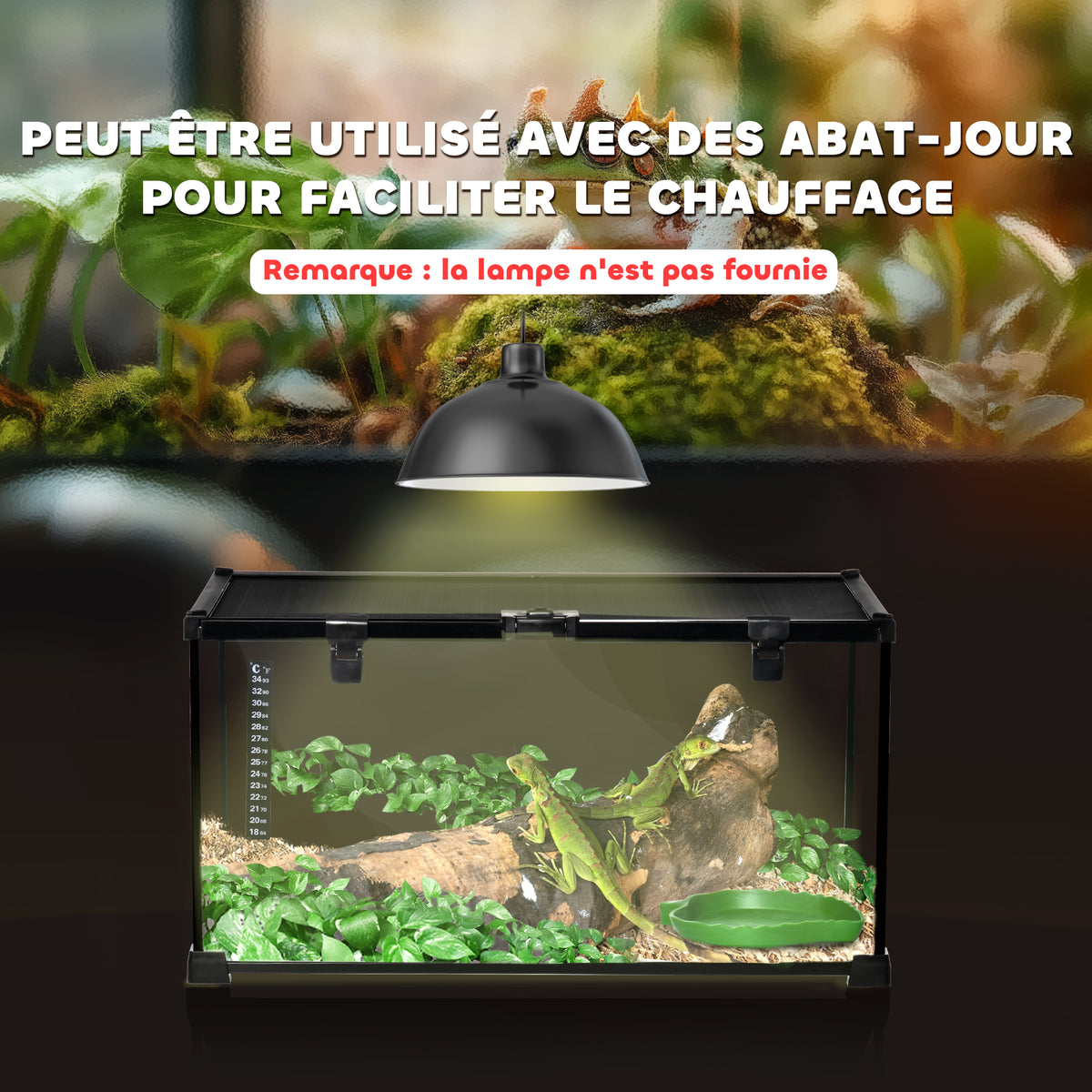 Boîte à reptiles boîte d'élevage de reptiles habitat de terrarium transparent couvercle coulissant noir