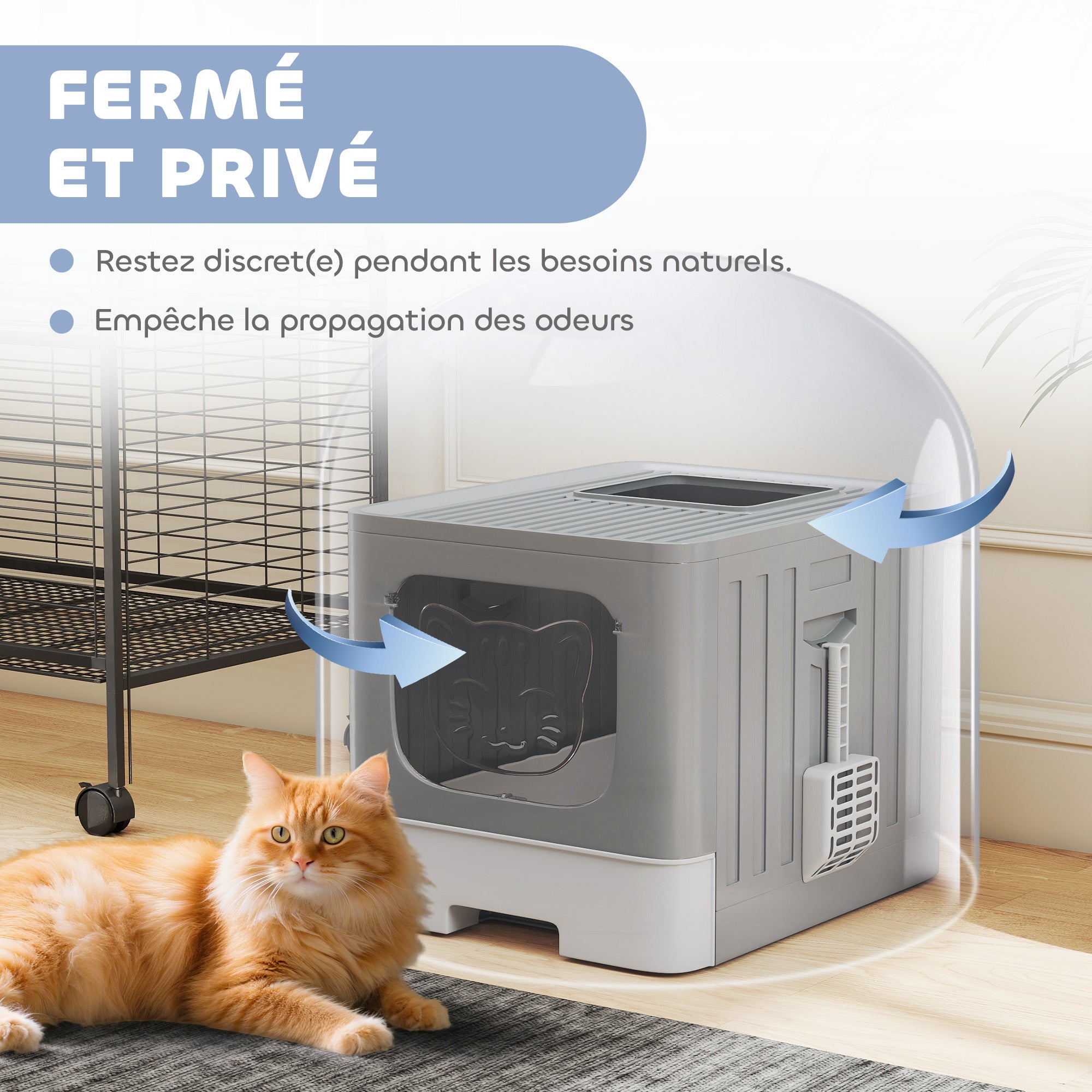 Texte alternatif de l'image