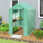 Serre de jardin PE étagère 2 niveaux, serre de balcon, bâche renforcée 140 g/m², châssis en acier, 186x120x190cm, vert