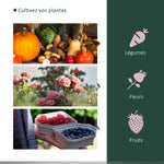 Serre de jardin mini serre serre à tomates 2 x 1 x 0,8 m porte zippée bâche PE acier vert