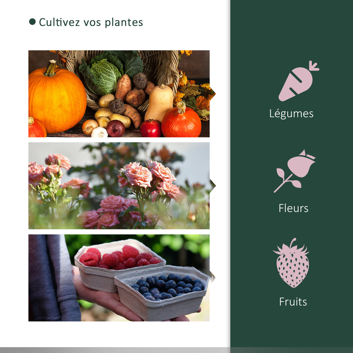 Serre de jardin mini serre serre à tomates 2 x 1 x 0,8 m porte zippée bâche PE acier vert