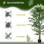 Plante artificielle ficus hauteur 1,80 m tronc branches liane lichen feuilles grand réalisme pot inclus vert