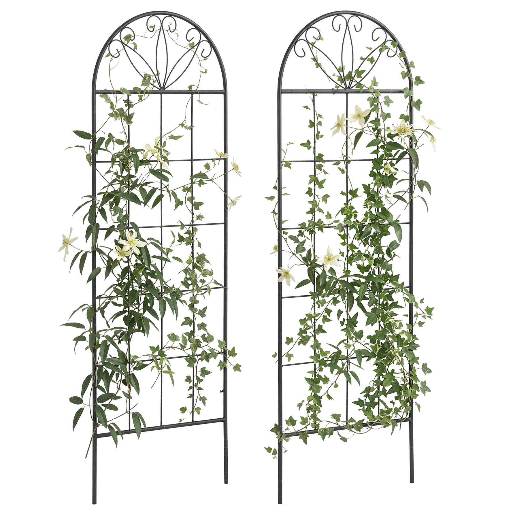 Treillis de jardin lot de 2 support pour plantes grimpantes en métal - 51 x 152 cm noir