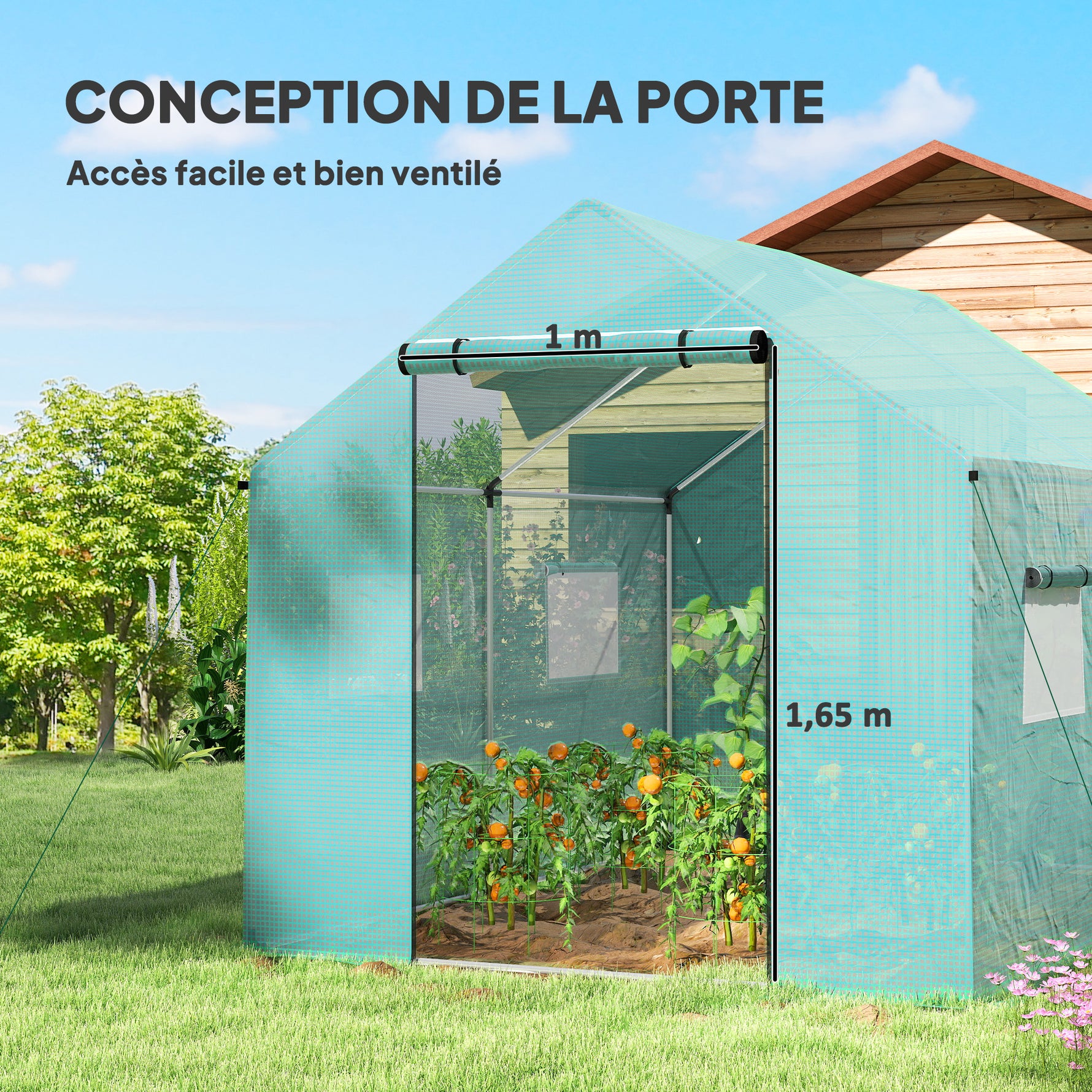 Serre de jardin tunnel 2 x 3m, 6m² avec porte enroulable, 4 fenêtres, - Acier galvanisé PE Haute densité Vert