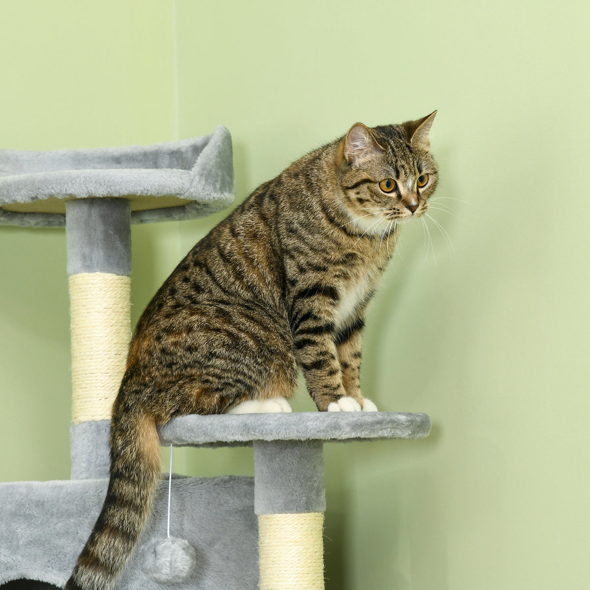 Arbre à chat XXL arbre à grimper pour chat multi-équipements griffoirs 6 plate-formes 2 niches hauteur 200 cm gris