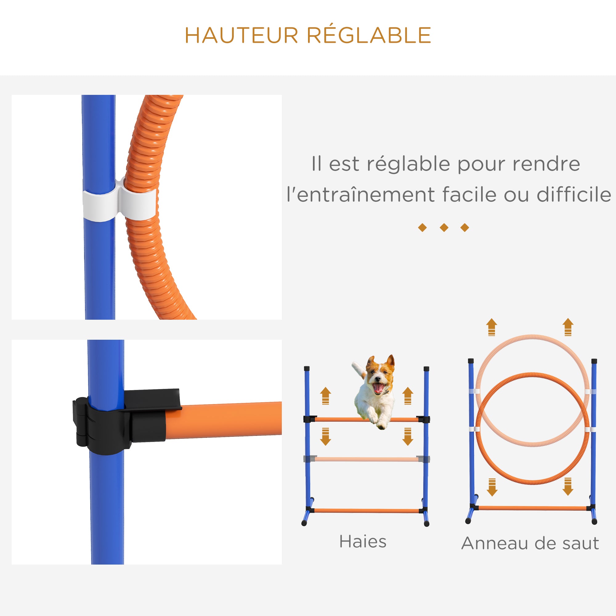 Texte alternatif de l'image