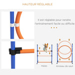 Kit d'agilité pour chien 4 pièces avec slalom, anneau de saut, haies, kit de dressage, sac de transport